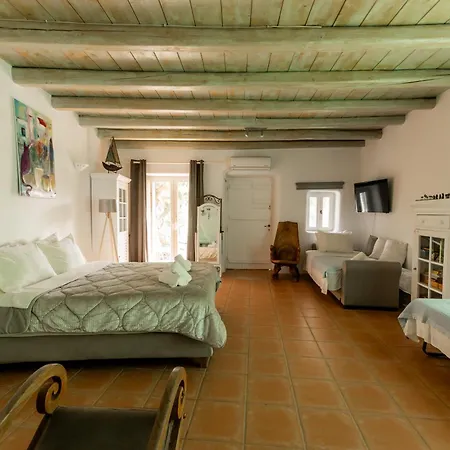 Honey Bee House Apartment