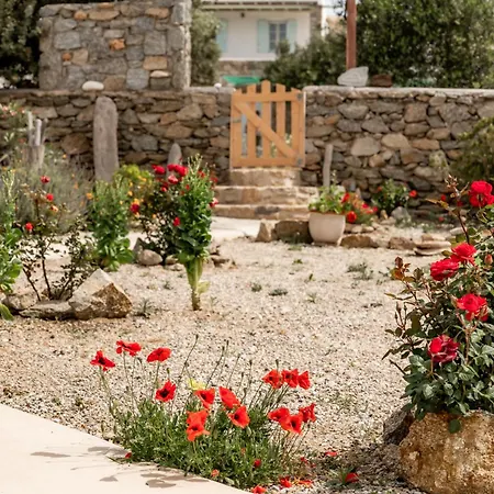 Honey Bee House Apartment Mykonos Town
